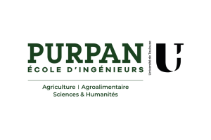 purpan